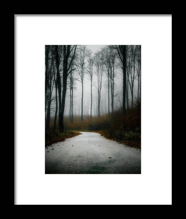 Autumn Framed Print featuring the photograph Road in the fog 07/11/17 by Plamen Petkov