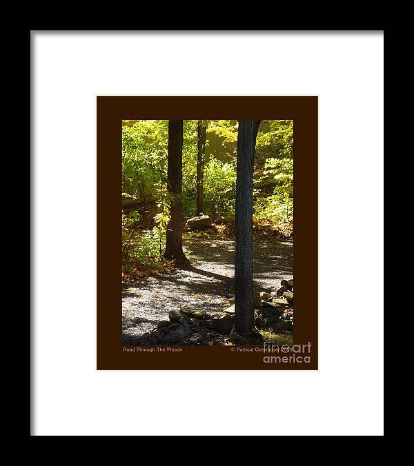 Autumn Framed Print featuring the photograph Road Through the Woods by Patricia Overmoyer