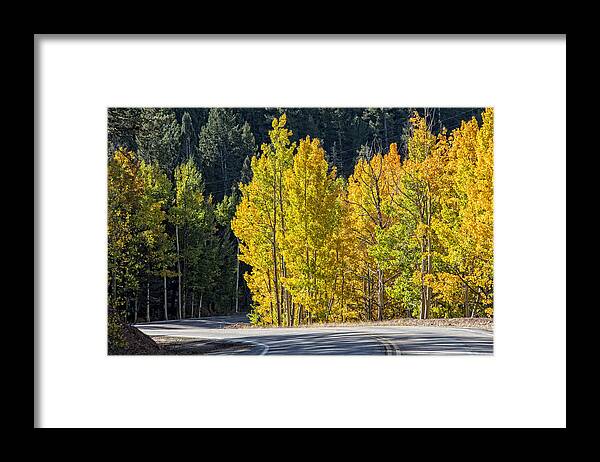 Fall Framed Print featuring the photograph Road to Autumn by Barry C Donovan