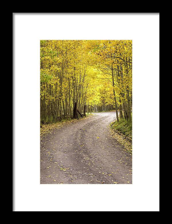 Autumn Framed Print featuring the photograph Road To Autumn by Denise Bush