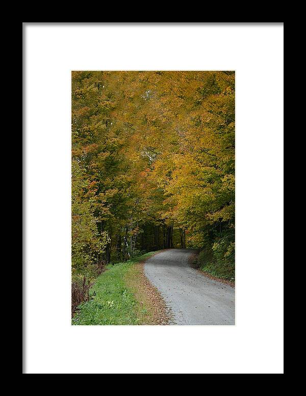 Autumn Framed Print featuring the photograph Road to October by Carolyn Mickulas