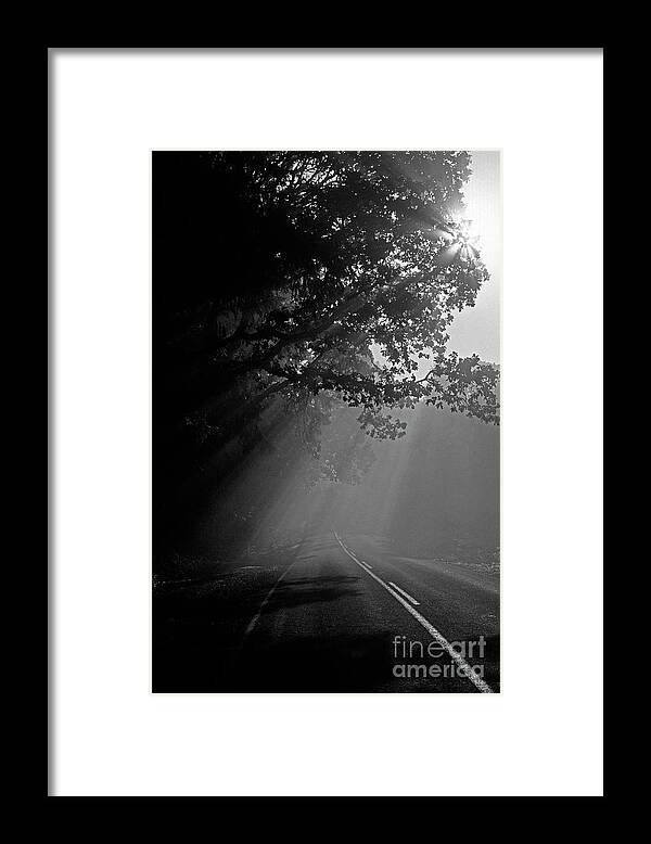 Travel Framed Print featuring the photograph Road with Early Morning Fog by Jim Corwin