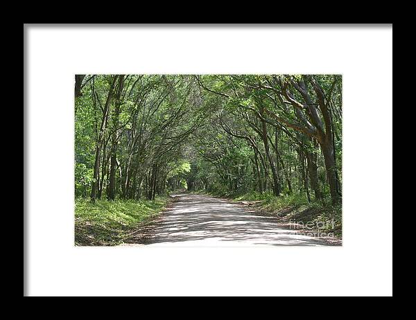 Landscape Framed Print featuring the photograph Roadway to Mitchellville Beach by Carol Bradley