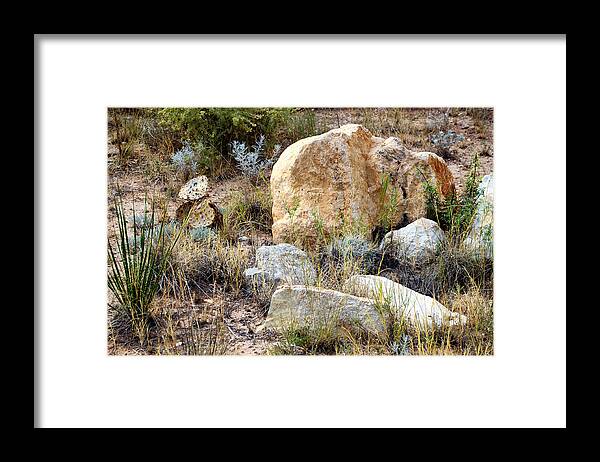 Sunrise Framed Print featuring the photograph Rock and Cacti Garden by Tikvah's Hope