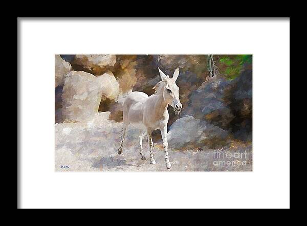 Animals Framed Print featuring the painting Rock and Romp by Judy Kay
