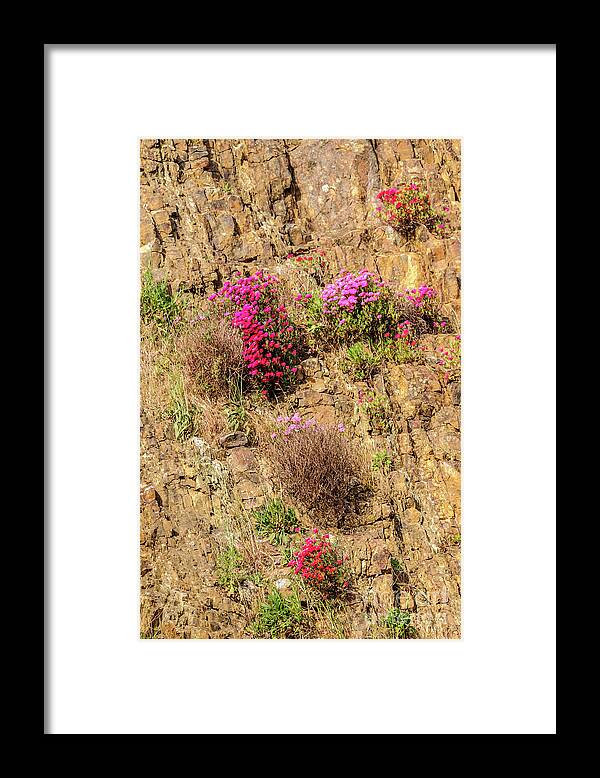 Australia Framed Print featuring the photograph Rock Cutting 1 by Werner Padarin