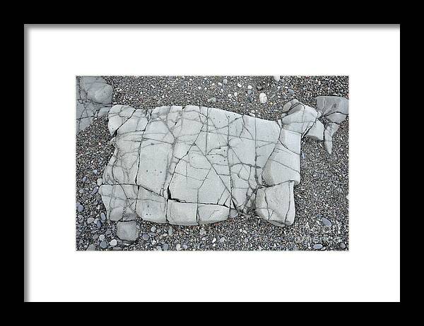 Rock Framed Print featuring the photograph Rock Dog by Glenn Gordon