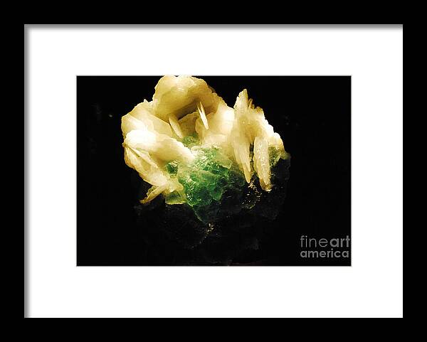 Wright Framed Print featuring the photograph Hard Rock Rose by Paulette B Wright