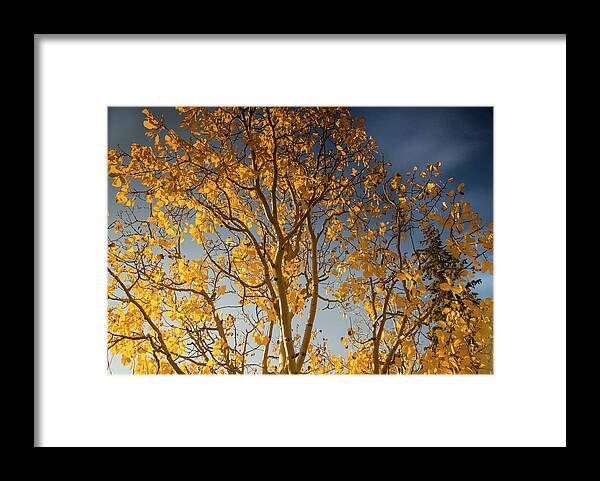 Rocky Mtn National Park Framed Print featuring the photograph Rocky mountain fall colors by Kunal Mehra