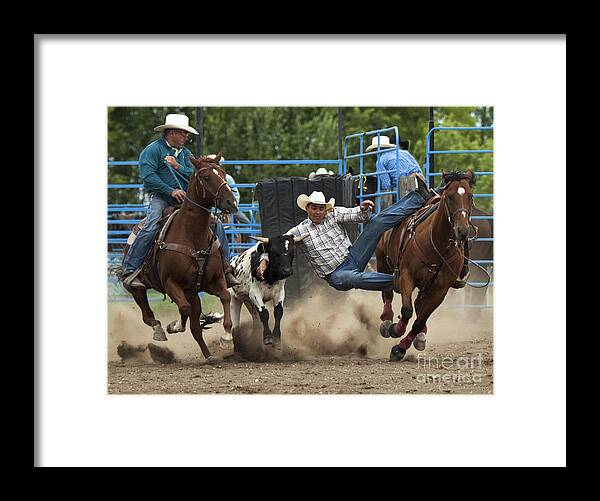 Steer Framed Print featuring the photograph Rodeo Steer Wrestling 1 by Bob Christopher