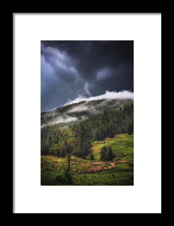Nature Framed Print featuring the photograph Rolling Through the Trees by Jason Roberts