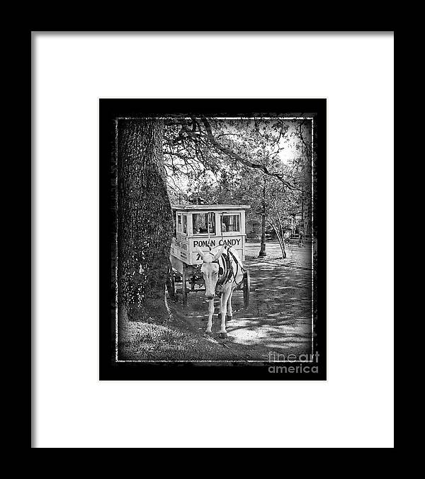 Roman Candy Framed Print featuring the photograph Roman Candy by Jeanne Woods