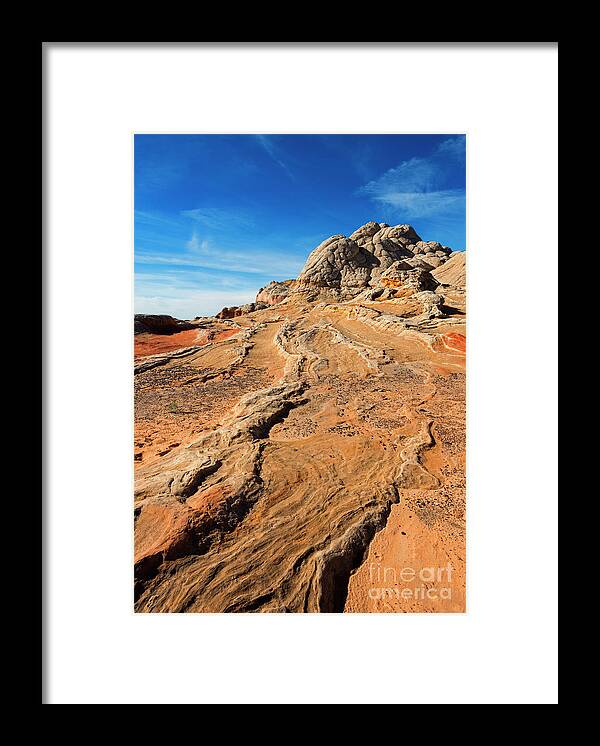 White Pocket Framed Print featuring the photograph Roots of Stone by Michael Dawson