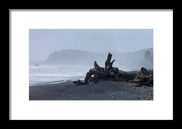 Rialto Beach Framed Print featuring the photograph Roots Touch Pacific by Alexis King-Glandon