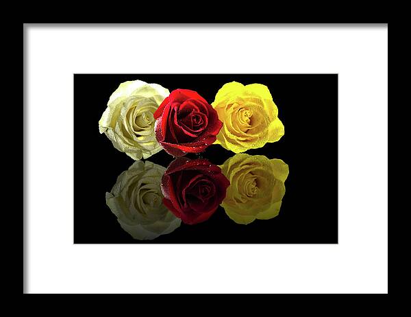 Roses Framed Print featuring the photograph Rose Bouquet by Mike Stephens