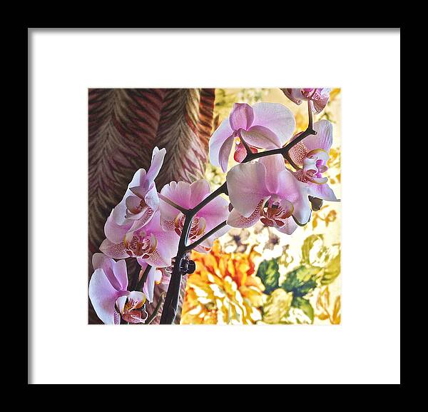Orchids Framed Print featuring the photograph Rose Cottage Orchid by Janis Senungetuk