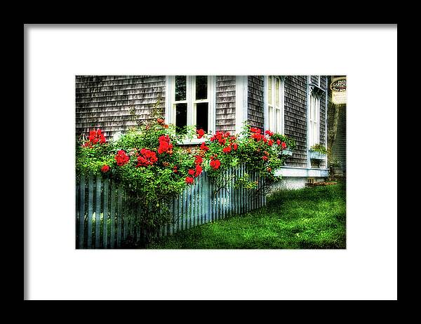 Rose-covered Fence In Historic Selburne Ns Framed Print featuring the photograph Rose-covered Fence in Shelburne NS by Carolyn Derstine