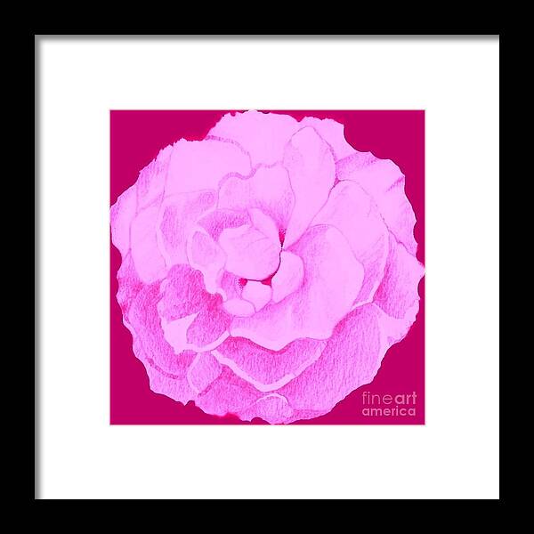 Rose Framed Print featuring the digital art Rose In Hot Pink by Helena Tiainen