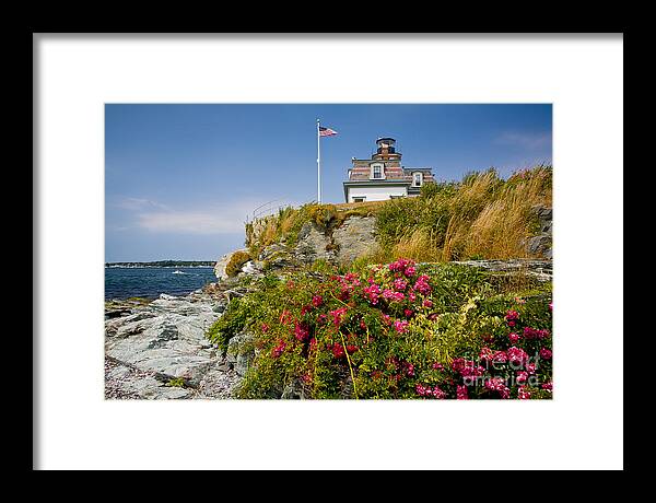 Bay Framed Print featuring the photograph Rose Island Roses by Susan Cole Kelly