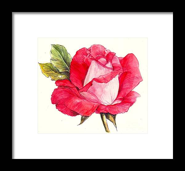 Rose Framed Print featuring the painting Rose by Morgan Fitzsimons