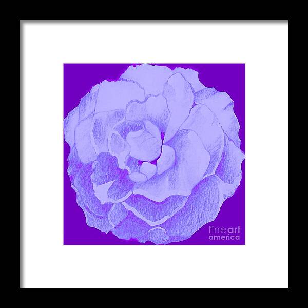 Rose Framed Print featuring the digital art Rose On Purple by Helena Tiainen