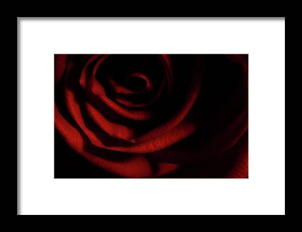 Rose Framed Print featuring the photograph Rose Series 3 Red by Mike Eingle