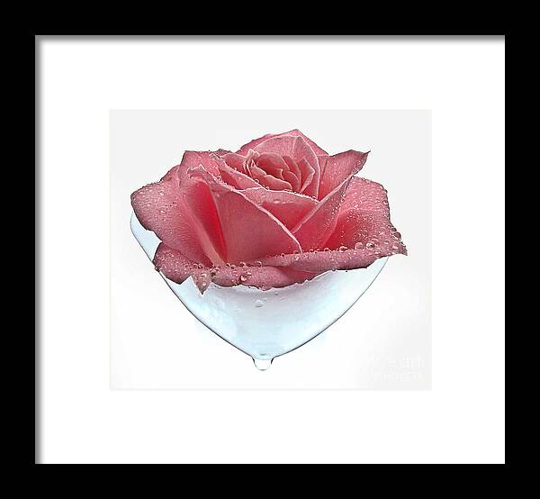 Anniversary Framed Print featuring the photograph Rose Tear by Greg Summers