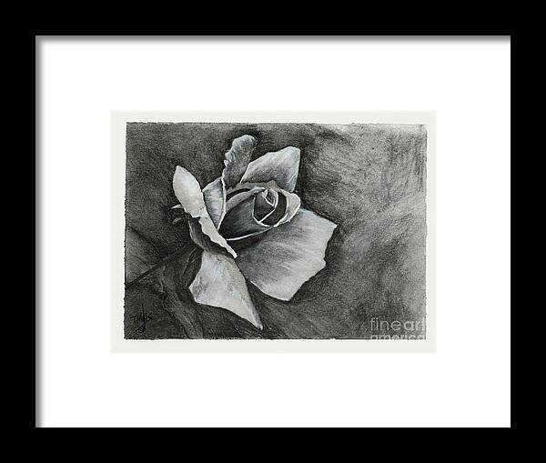 Drawing Framed Print featuring the drawing Rose1 by Terri Mills