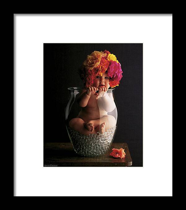 Rose Framed Print featuring the photograph Vase of Roses by Anne Geddes