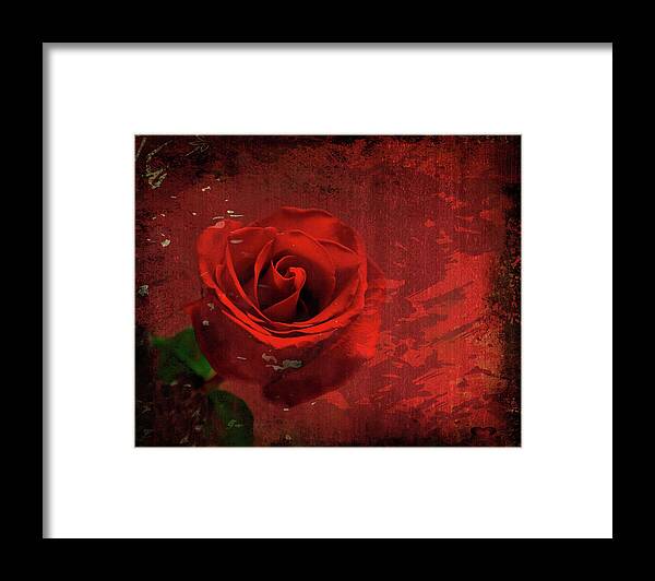 Rose Framed Print featuring the photograph Roses are still red by Bonnie Willis