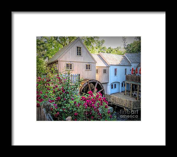 Roses Framed Print featuring the photograph Roses at the Plimoth Grist Mill by Janice Drew