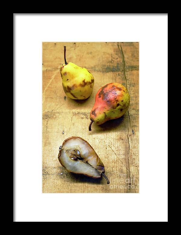 Pear Framed Print featuring the photograph Rotting Pears by Jill Battaglia