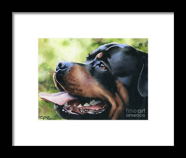 Rottweiler Framed Print featuring the painting Rottweiler by David Rogers