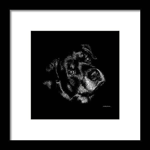 Art Framed Print featuring the digital art Rottweiler Mozart Portrait by Miss Pet Sitter