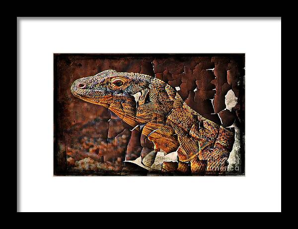 Komodo Framed Print featuring the photograph Rough Stuff by Clare Bevan