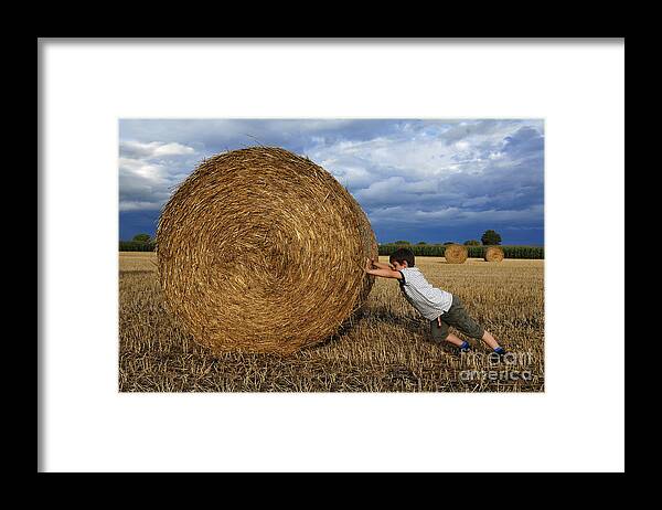 Agriculture Framed Print featuring the photograph Round Bale by Helmut Meyer zur Capellen