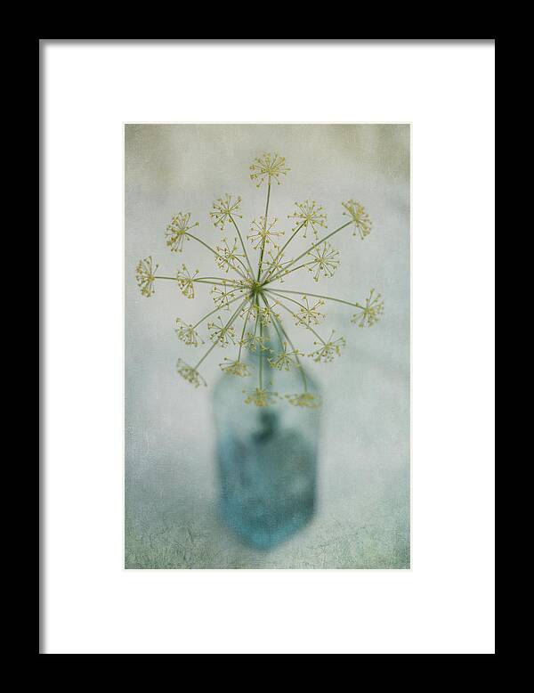 Dill Framed Print featuring the photograph Round Dance by Priska Wettstein