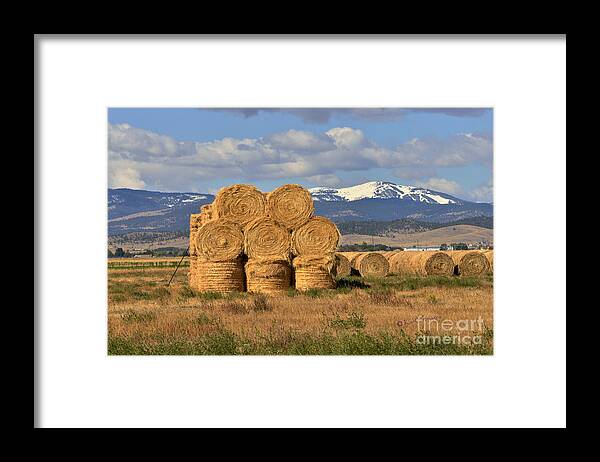 Hay Bales Framed Print featuring the photograph Round Hay Bales and Mountain by Kae Cheatham