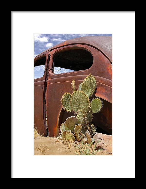 Southwest Framed Print featuring the photograph Route 66 Cactus by Mike McGlothlen