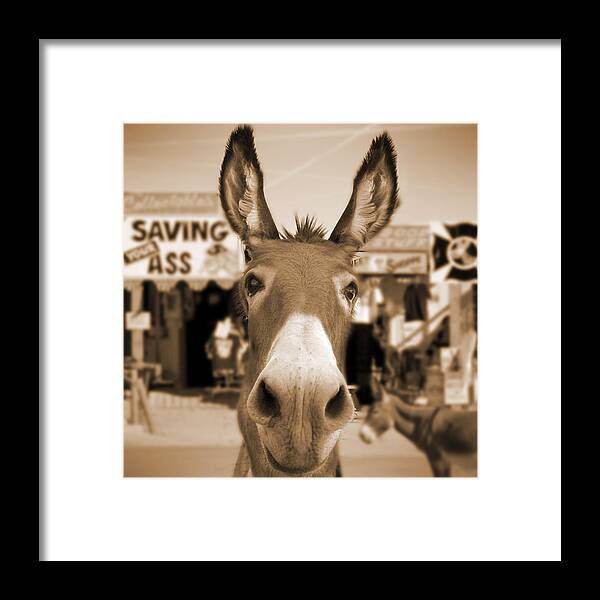 Route 66 Framed Print featuring the photograph Route 66 - Oatman Donkeys by Mike McGlothlen