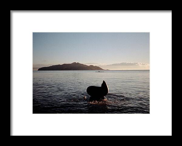 Frank Dimarco Framed Print featuring the photograph Rowing Off Sausalito, CA by Frank DiMarco