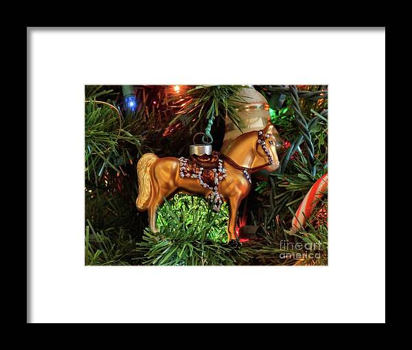 Horse Framed Print featuring the photograph Roy Rogers' Horse Trigger by Janette Boyd