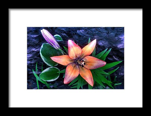 Lily Framed Print featuring the digital art Royal Sunset by Pennie McCracken