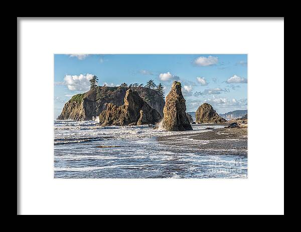 Beach Framed Print featuring the photograph Ruby Beach 1 by Al Andersen