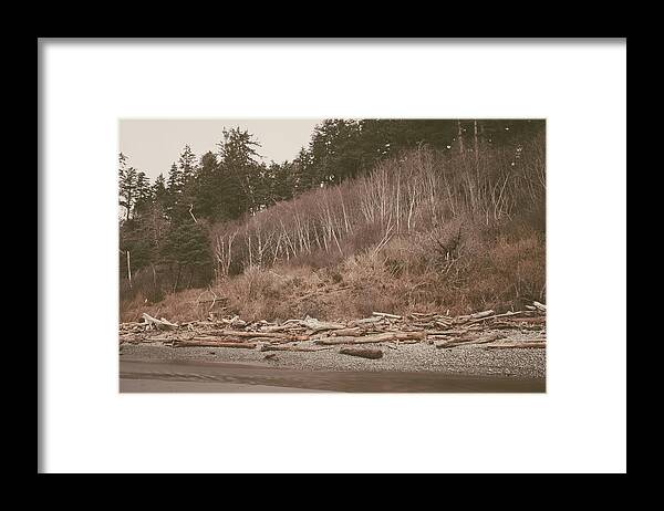 Beach Framed Print featuring the photograph Ruby Beach No. 18 by Desmond Manny