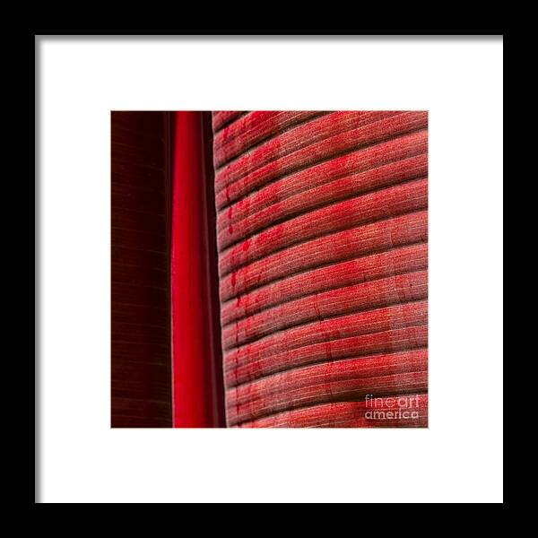 Canna Framed Print featuring the photograph Ruby Lines by Marilyn Cornwell