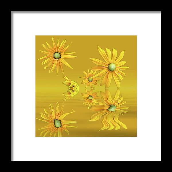 Rudbekia Framed Print featuring the photograph Rudbekia Yellow flowers by David French