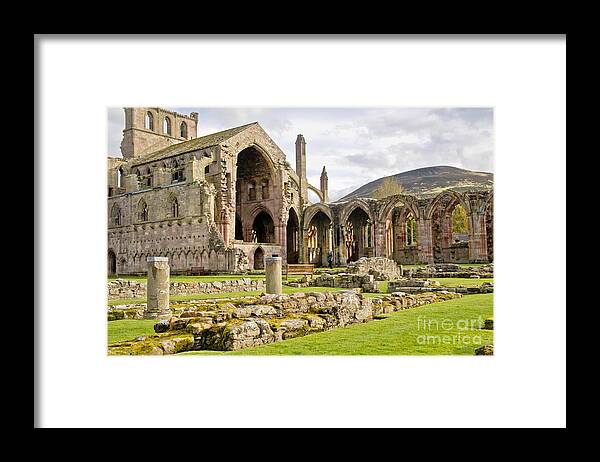 Melrose Abbey Framed Print featuring the photograph Ruins. Melrose Abbey. by Elena Perelman