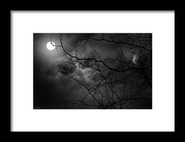 Owl Framed Print featuring the photograph Ruler Of The Night by Lourry Legarde