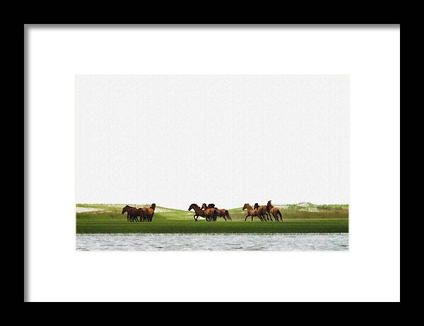 Wild Horse Framed Print featuring the photograph Running horses in the marsh 3 by Dan Friend